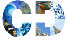 CD Pharma